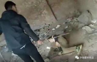 济南校园爆料事件视频曝光,真相与争议交织 第2张 济南校园爆料事件视频曝光,真相与争议交织 第2张